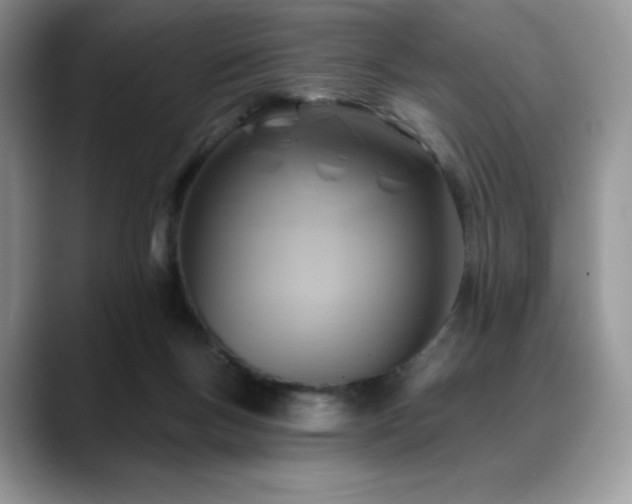 X0000088850167200706081141