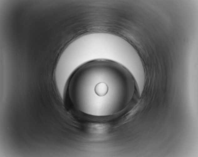 X0000088850168200706081141