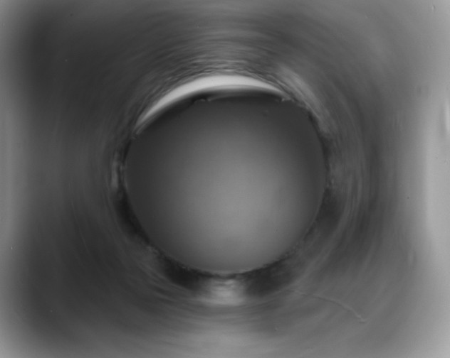 X0000088850169200706081141