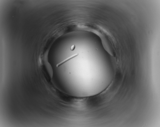 X0000088850170200706081141