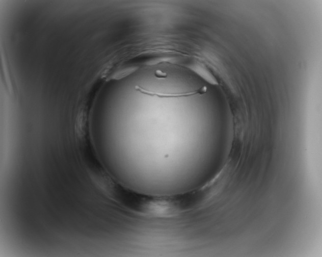 X0000088850171200706081141