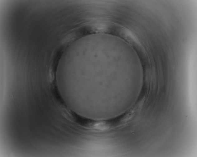 X0000088850173200706081141