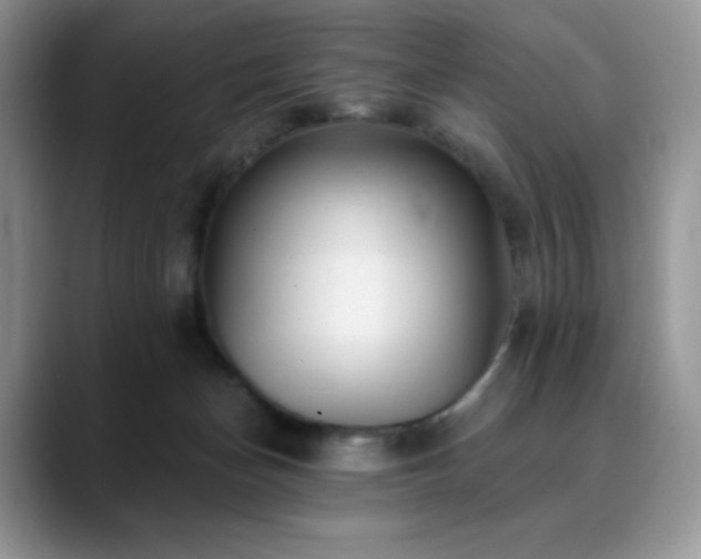 X0000088850174200706081141