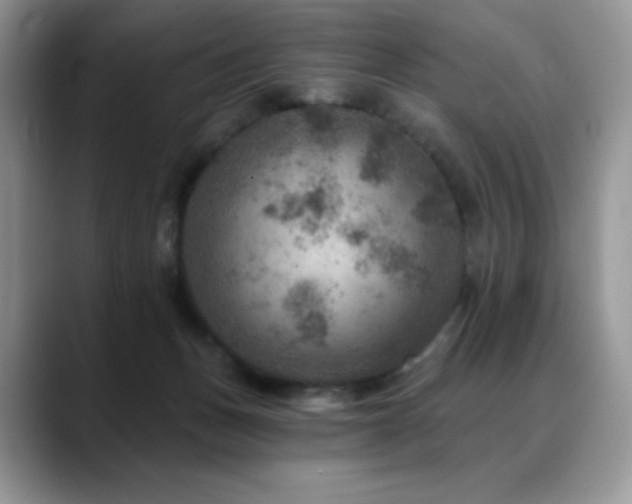 X0000088850175200706081141