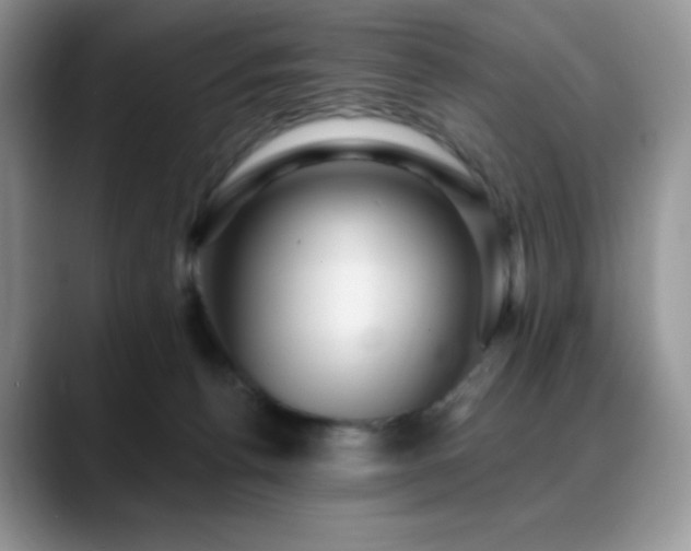 X0000088850176200706081141