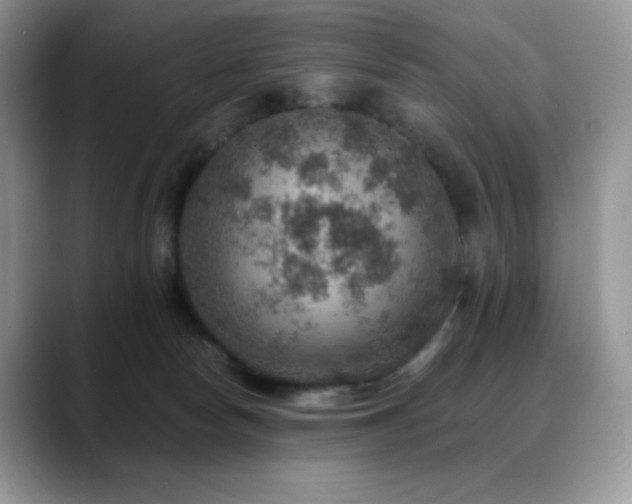 X0000088850178200706081141