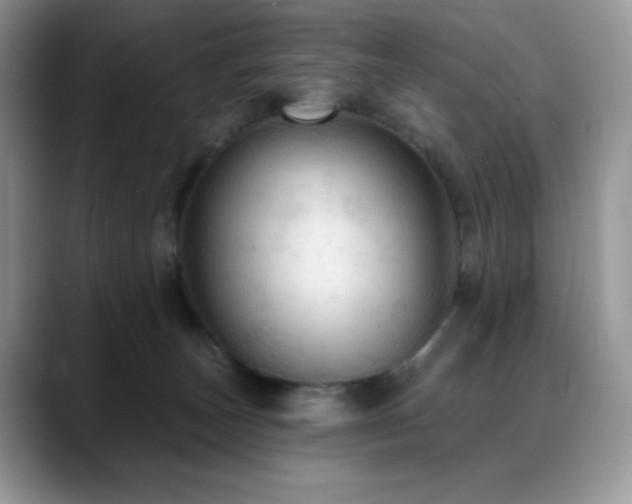 X0000088850179200706081141