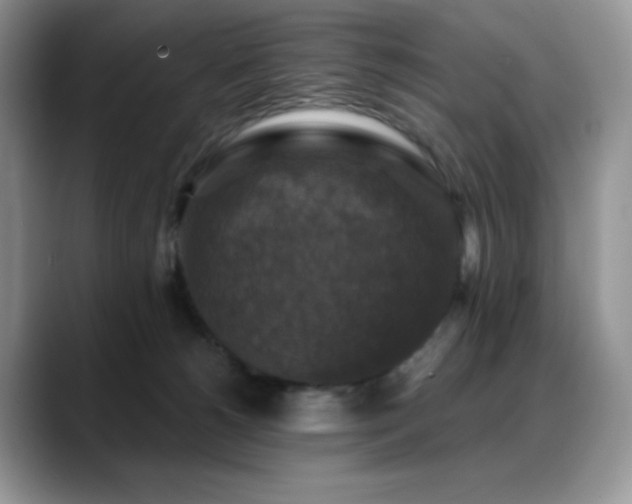 X0000088850180200706081141