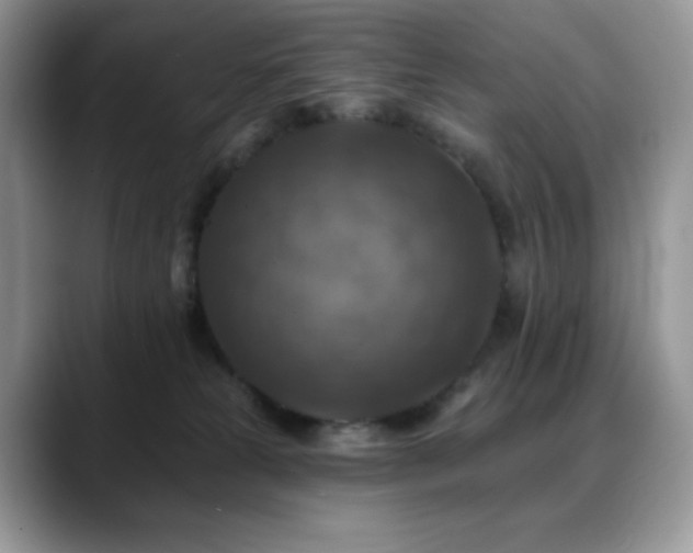 X0000088850181200706081141