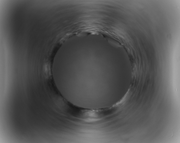 X0000088850182200706081141