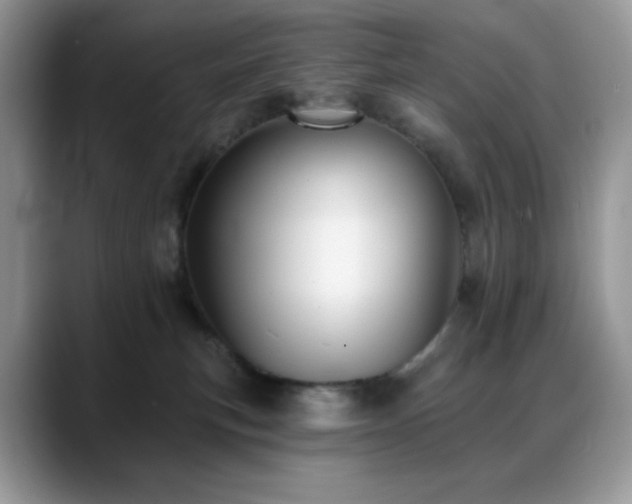 X0000088850183200706081141