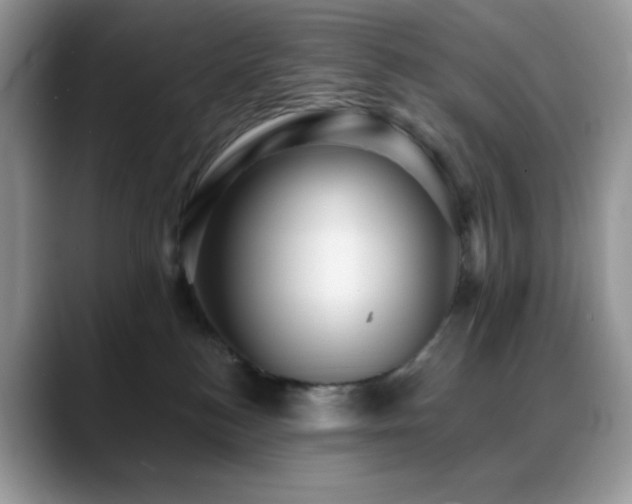 X0000088850184200706081141