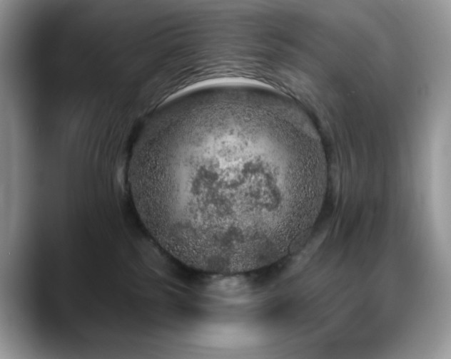 X0000088850185200706081141
