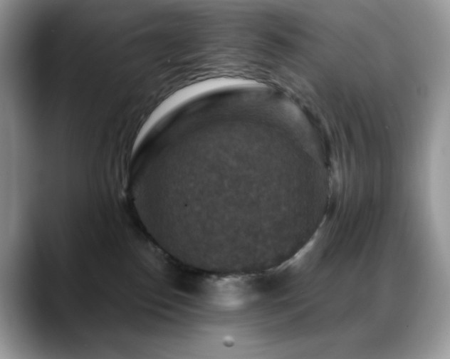 X0000088850186200706081141