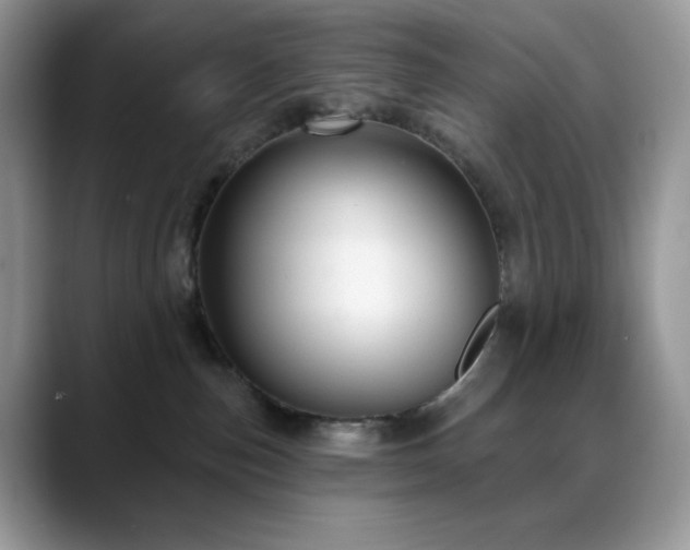 X0000088850187200706081141