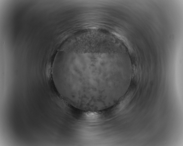 X0000088850189200706081141