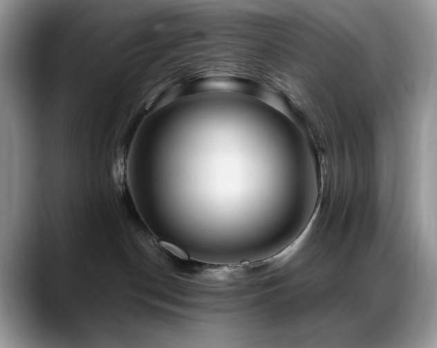 X0000088850190200706081141