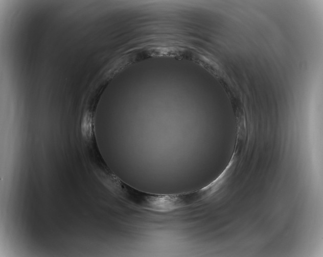 X0000088850191200706081141