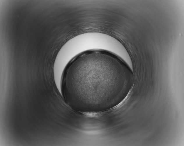 X0000088850192200706081141