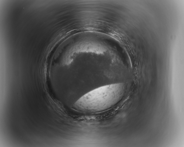 X0000088850194200706081141