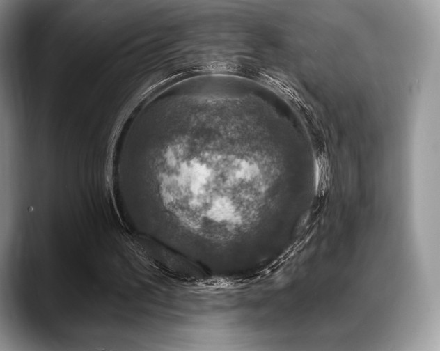 X0000088850195200706081141
