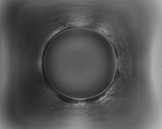 X0000088850196200706081141