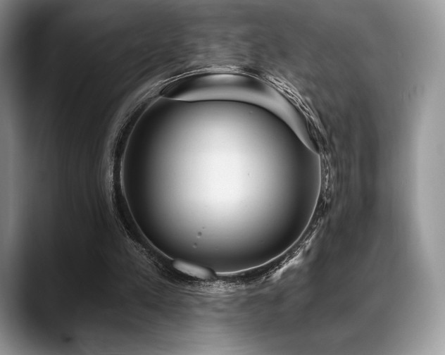 X0000088850197200706081141