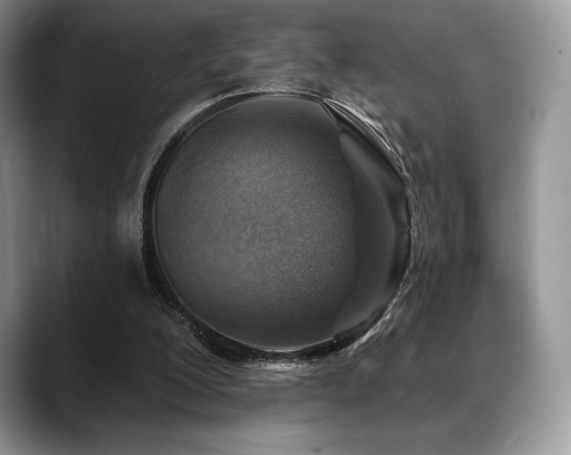 X0000088850200200706081141