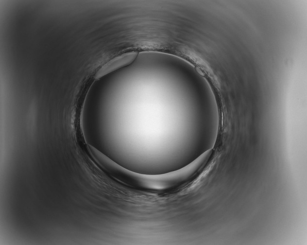 X0000088850201200706081141