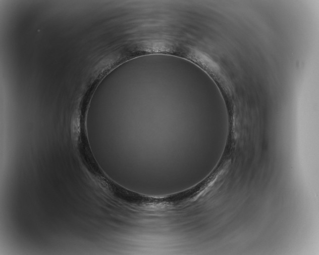 X0000088850202200706081141