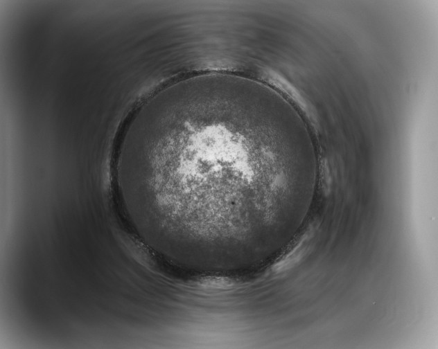 X0000088850203200706081141