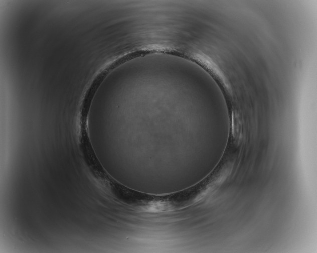 X0000088850204200706081141