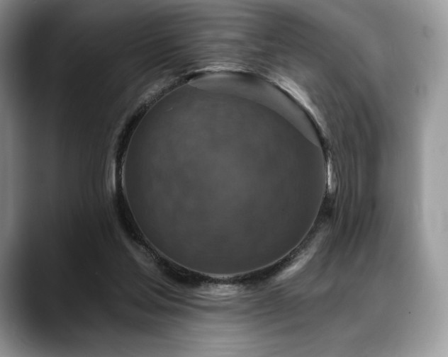 X0000088850205200706081141