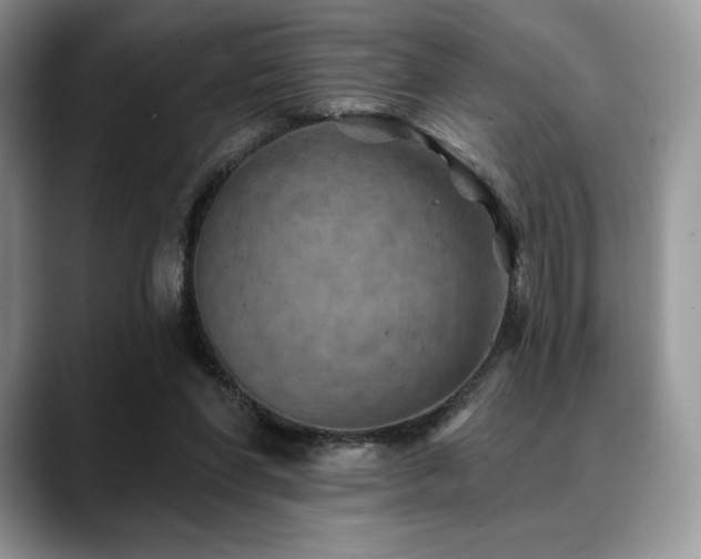 X0000088850206200706081141