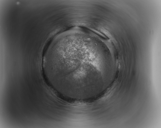 X0000088850207200706081141