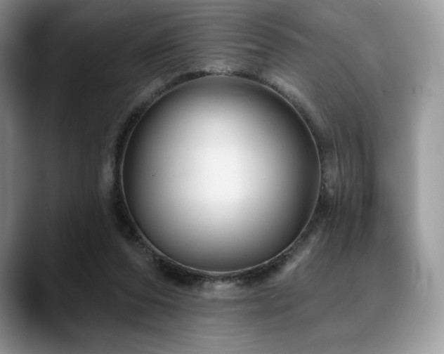 X0000088850208200706081141