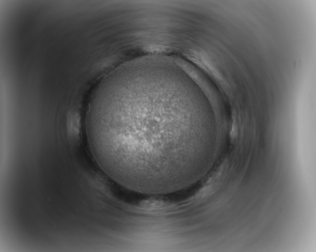X0000088850211200706081140