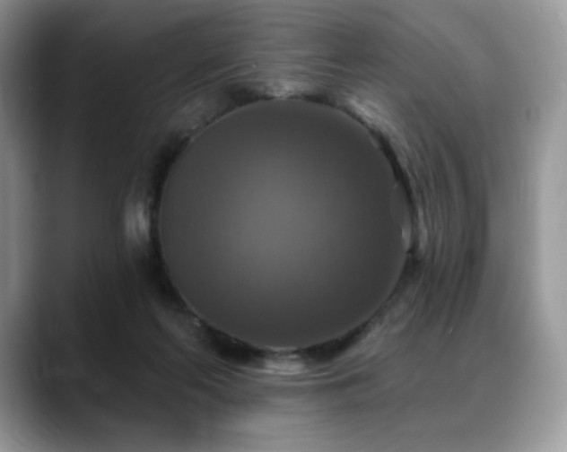 X0000088850214200706081140