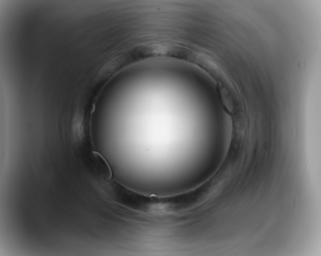X0000088850216200706081140