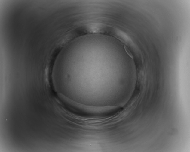 X0000088850217200706081140