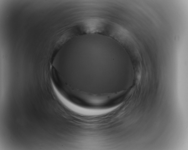 X0000088850219200706081140