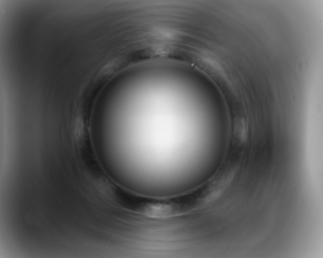 X0000088850220200706081140