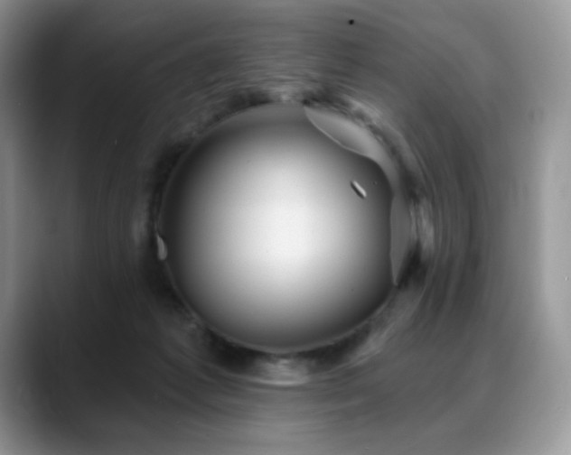 X0000088850221200706081140