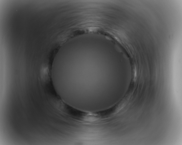 X0000088850222200706081140