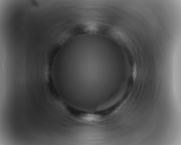 X0000088850223200706081140