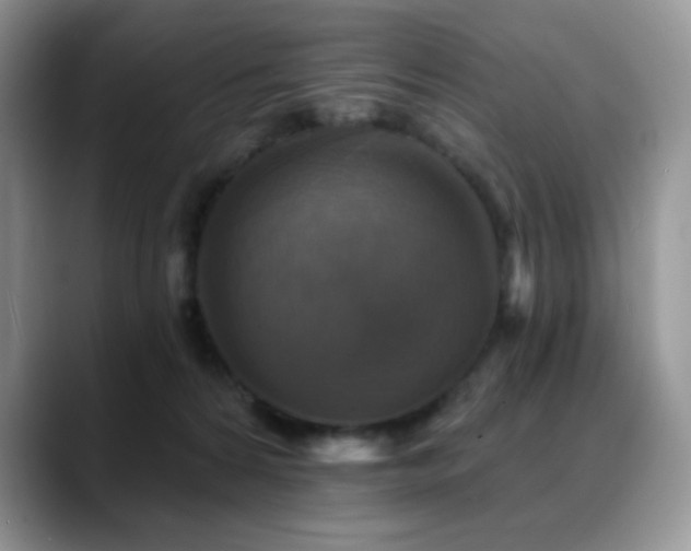 X0000088850224200706081140