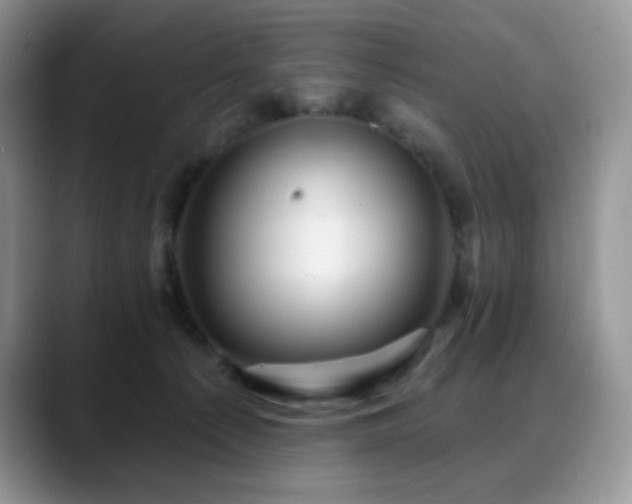 X0000088850225200706081140