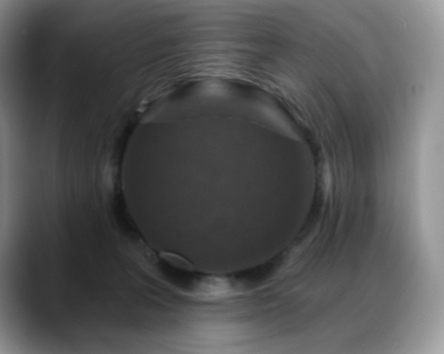 X0000088850227200706081140