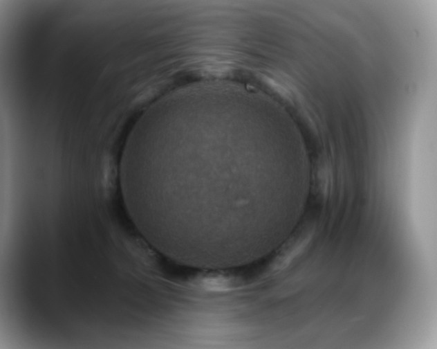 X0000088850228200706081140