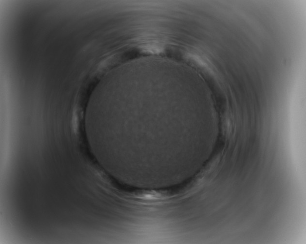 X0000088850229200706081140